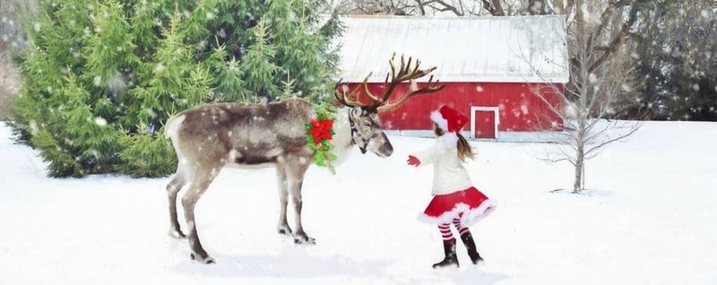 santas-reindeer