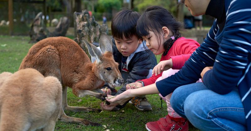 7 Family Holiday Ideas Less Than 7 Hours From Singapore: Perth | SingSaver
