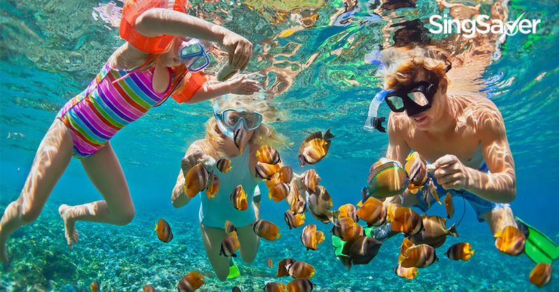 7 Family Holiday Ideas Less Than 7 Hours From Singapore | SingSaver