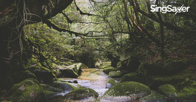 5 Beautiful Places in Japan You Didn't Know Existed | SingSaver