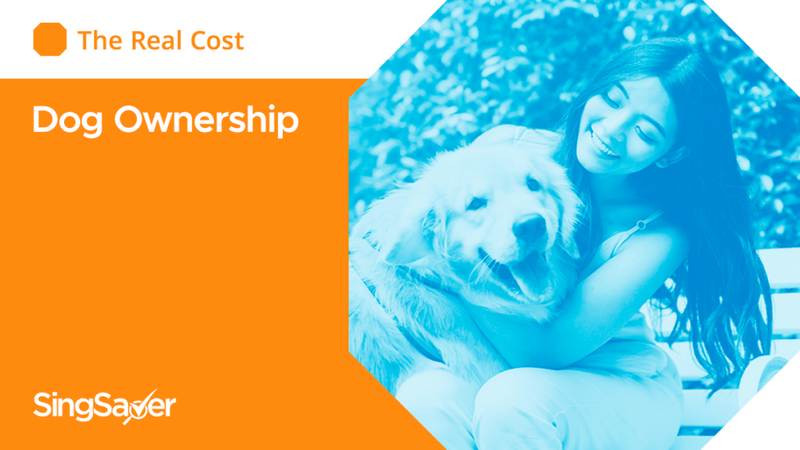 The Real Cost Of Owning A Dog In Singapore | SingSaver